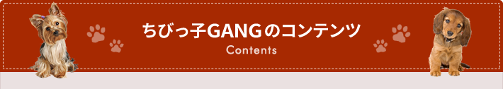 ちびっ子GANGのコンテンツ